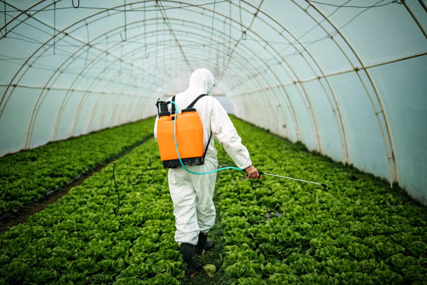 Pest Control for Restaurants in Moundville, AL