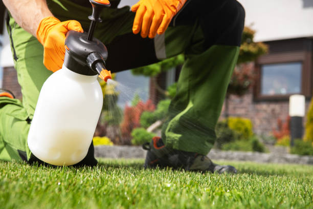 Best Local Pest Control Services  in Moundville, AL